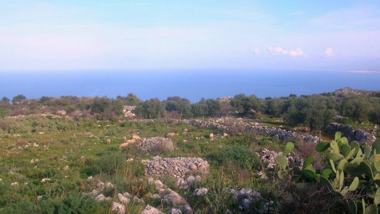 Photo of Others in Kefalas