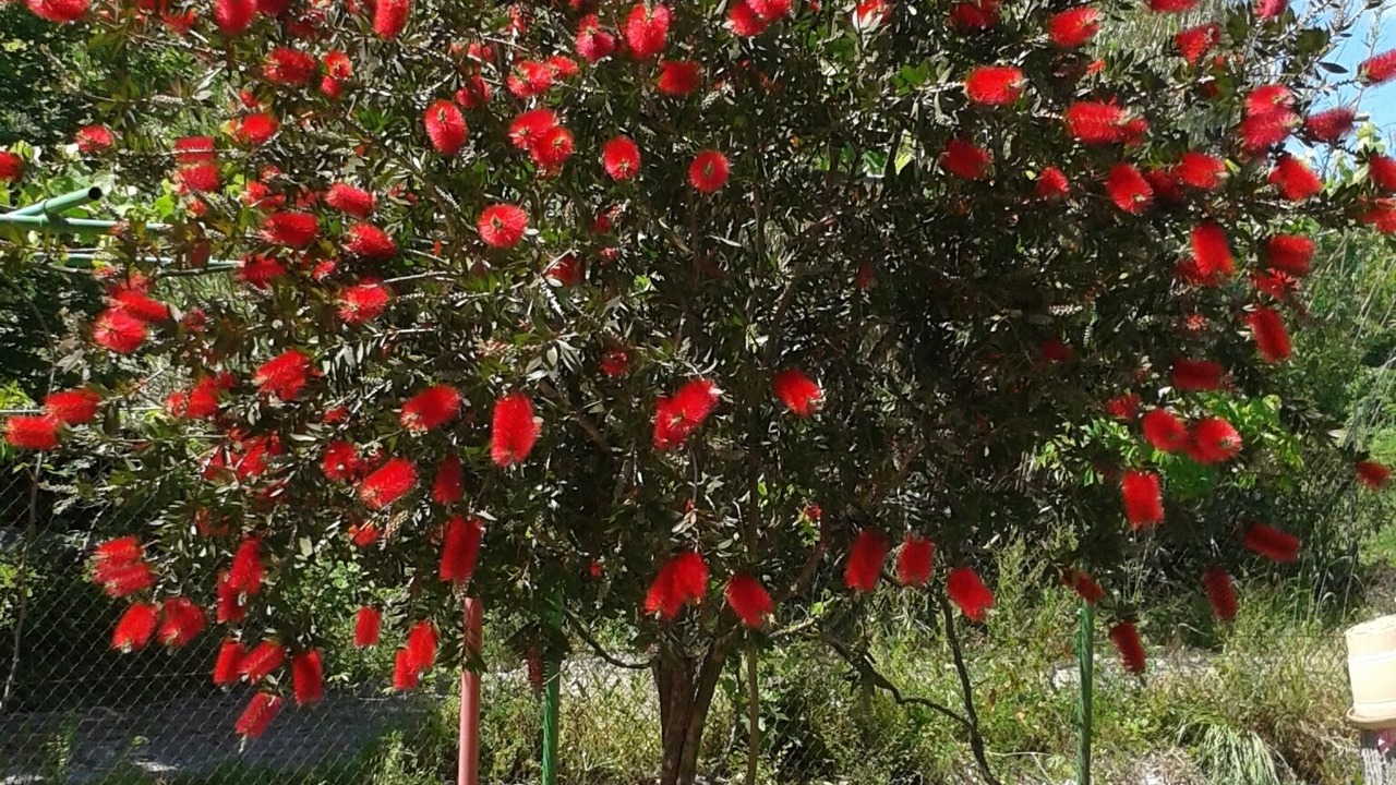 Photo of Outdoor in Dassia