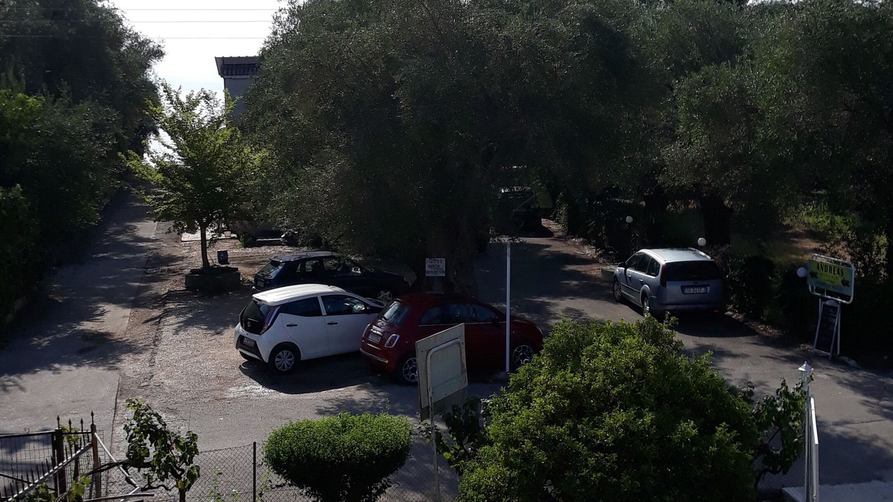 Photo of Others in Dassia