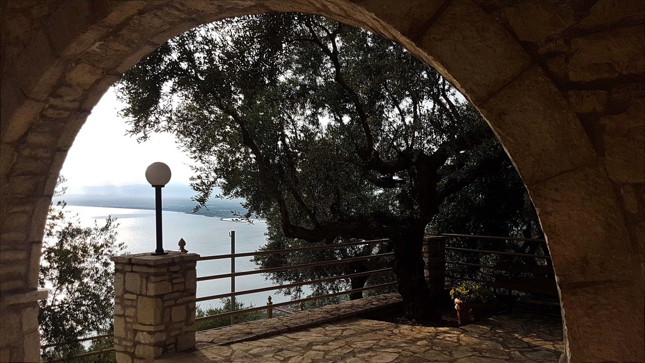 Photo of Outdoor in Diasella