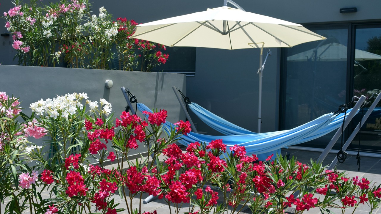 Photo of Patio Balcony in Daratsos