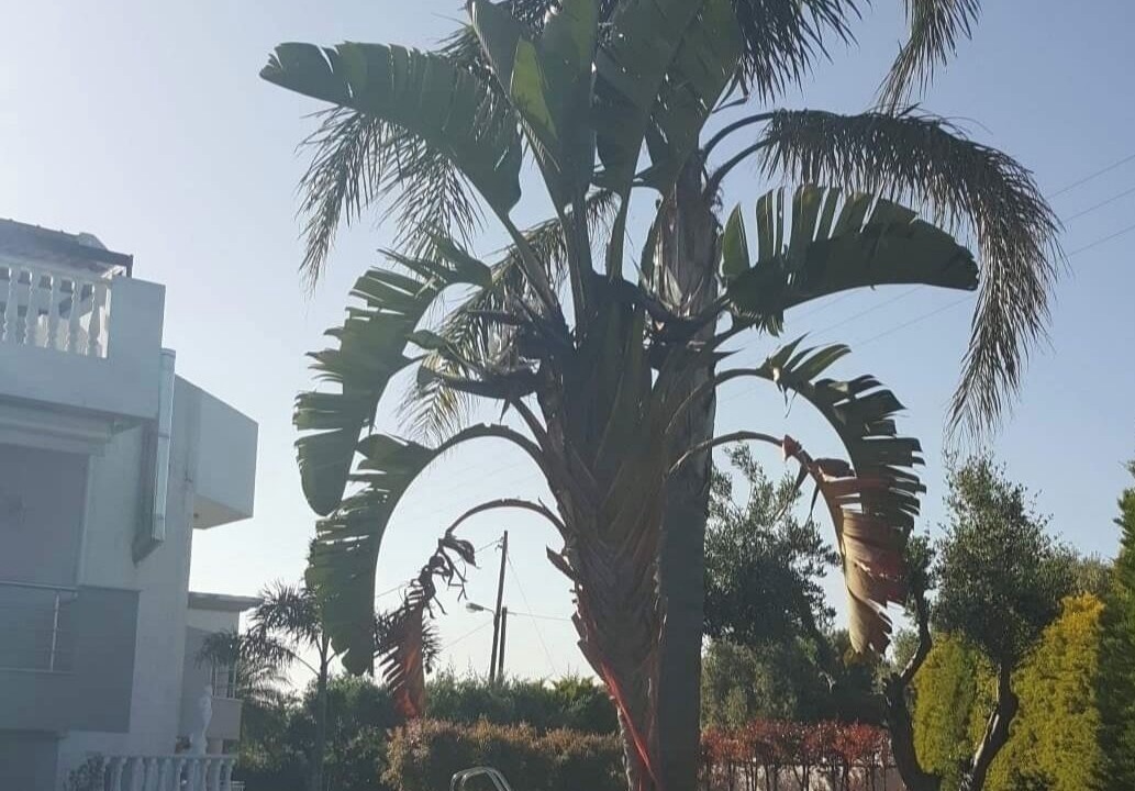 Photo of Outdoor in Hersonissos Centre