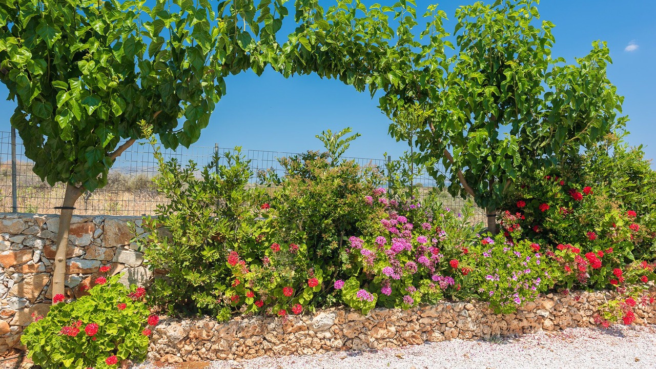 Photo of Outdoor in Douliana