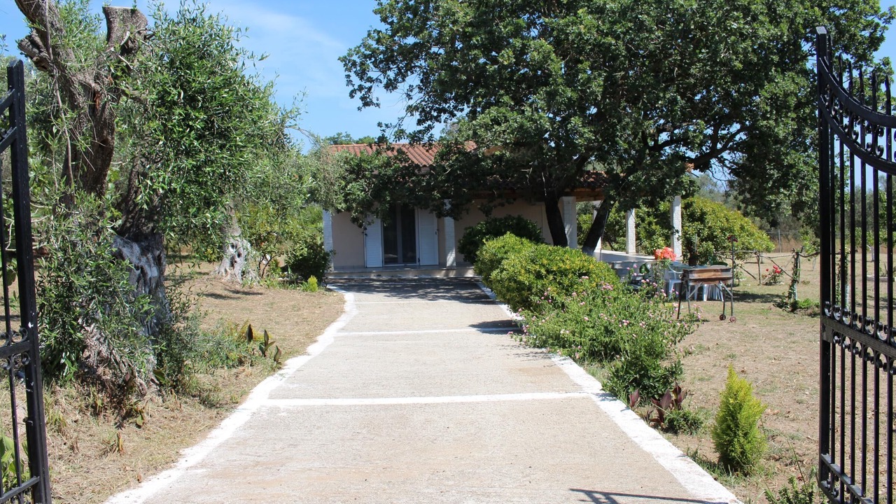 Photo of Others in Chalikounas