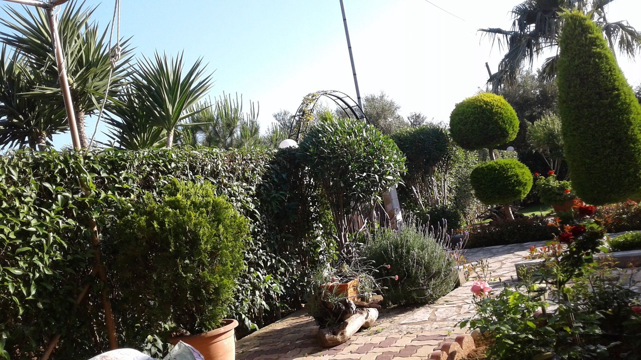 Photo of Outdoor in Vromonerion