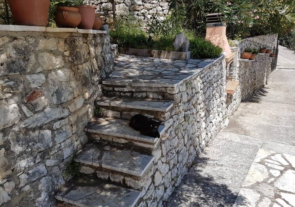 Photo of Outdoor in Barbati