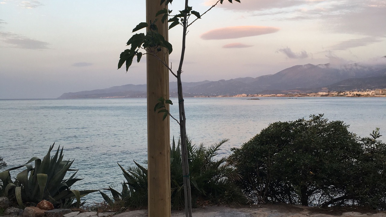 Photo of Patio Balcony in Stalida