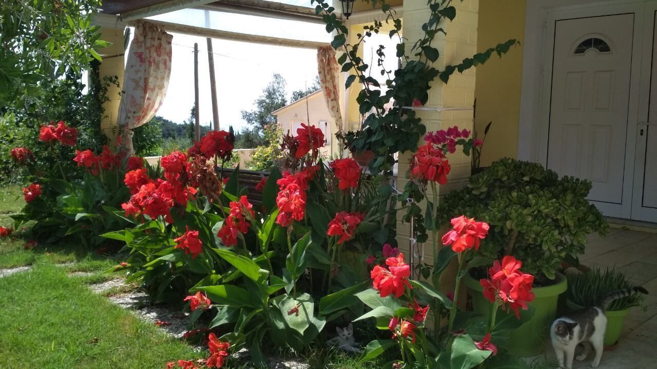 Photo of Outdoor in Magoulades