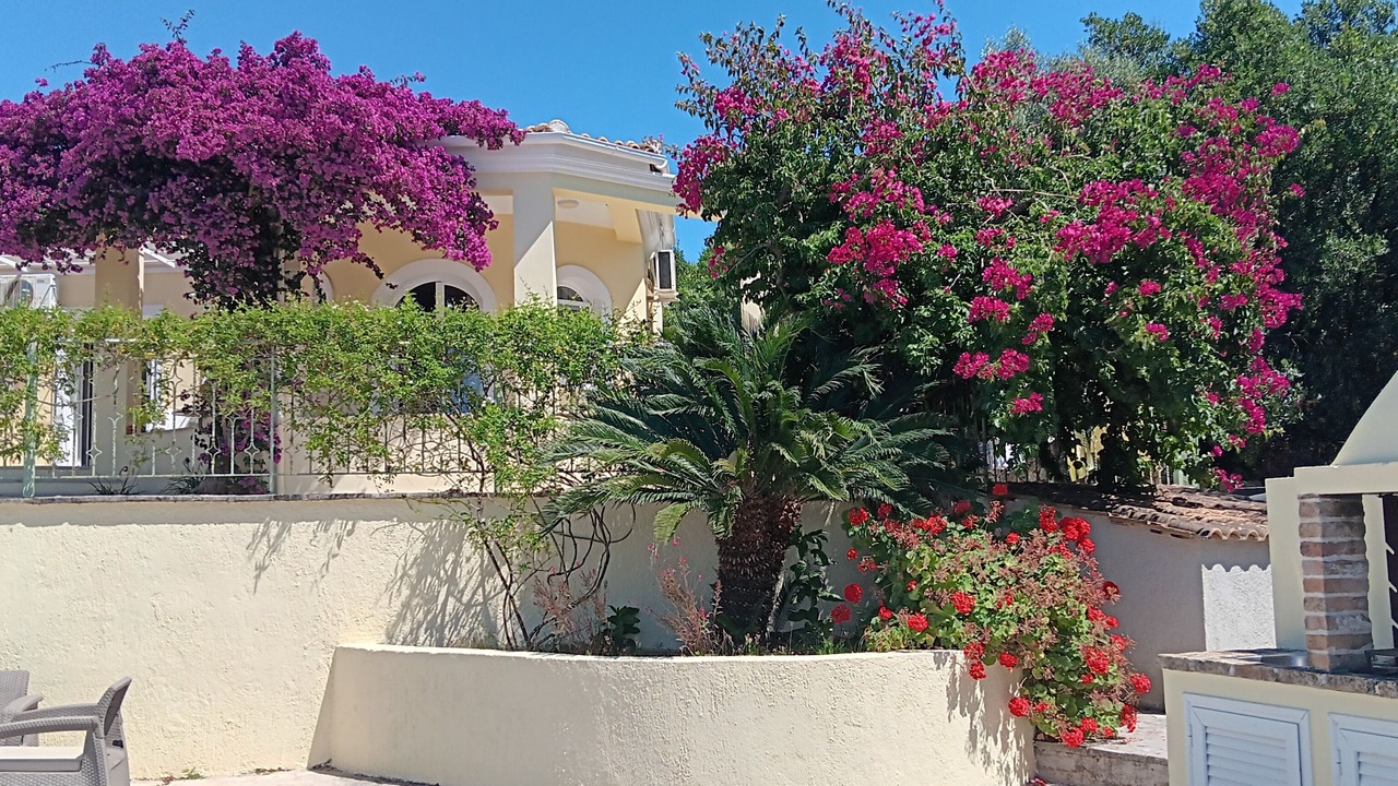 Photo of Patio Balcony in Pelekito