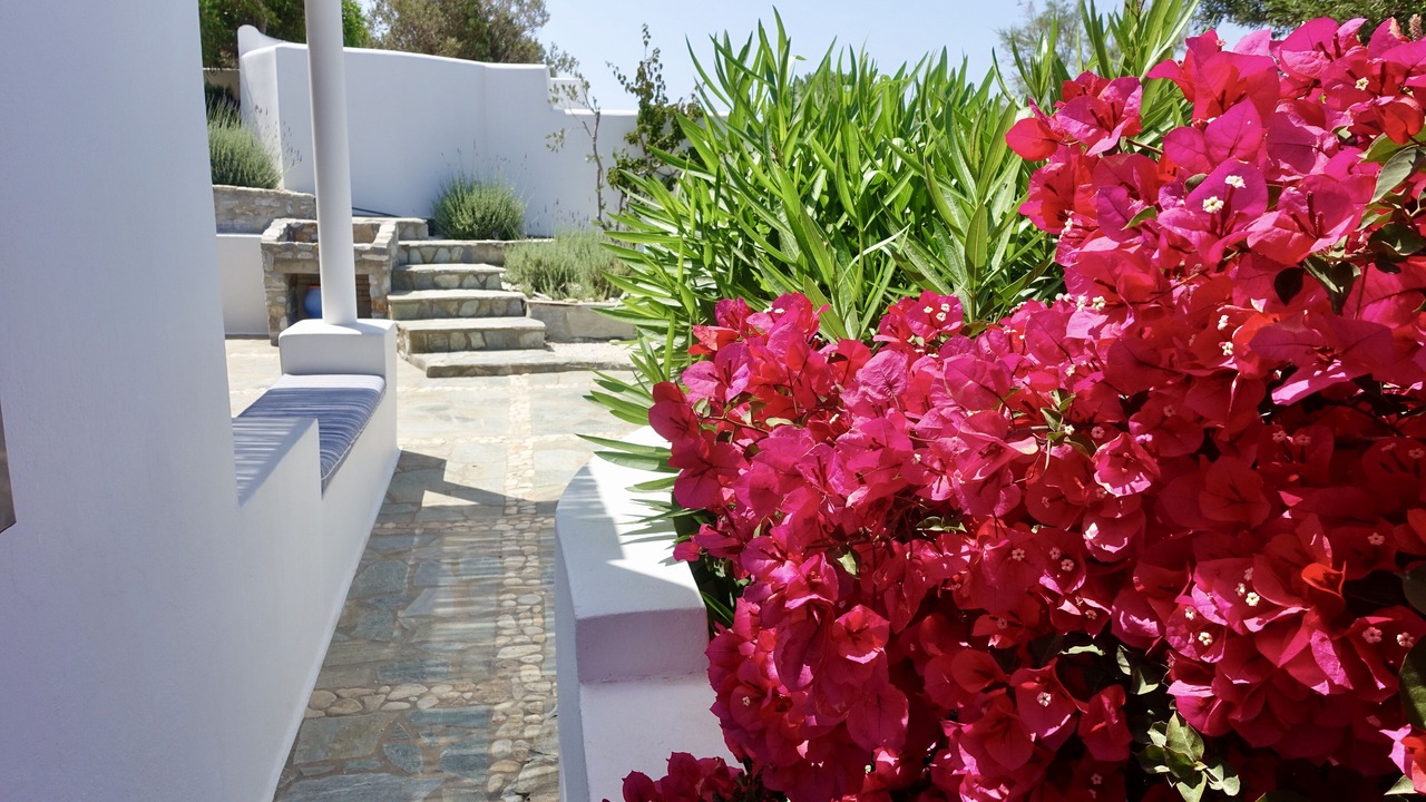 Photo of Outdoor in Naxos