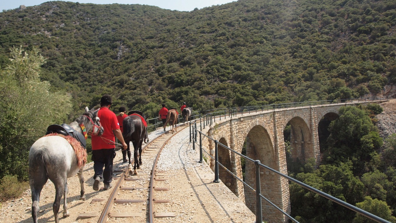 Photo of Others in Koropi