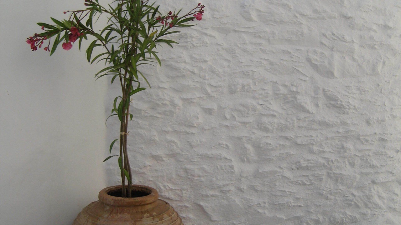 Photo of Outdoor in Amorgos Town