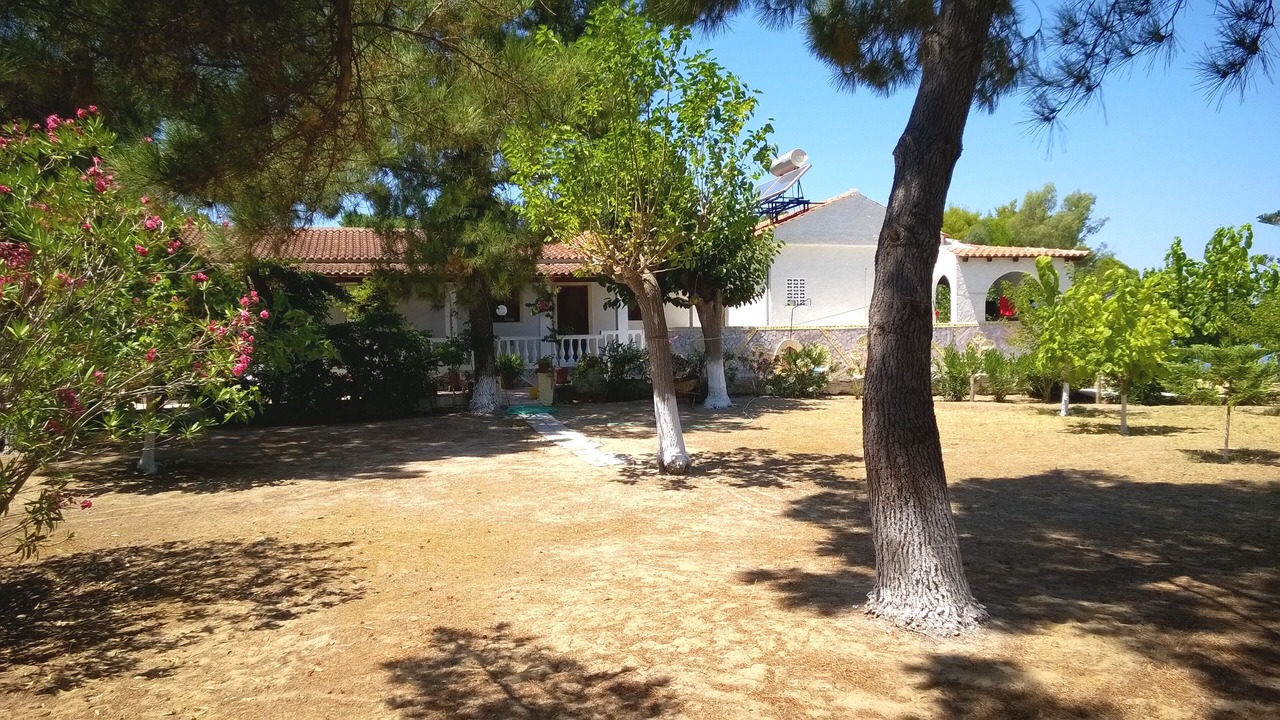 Photo of Outdoor in Melikia