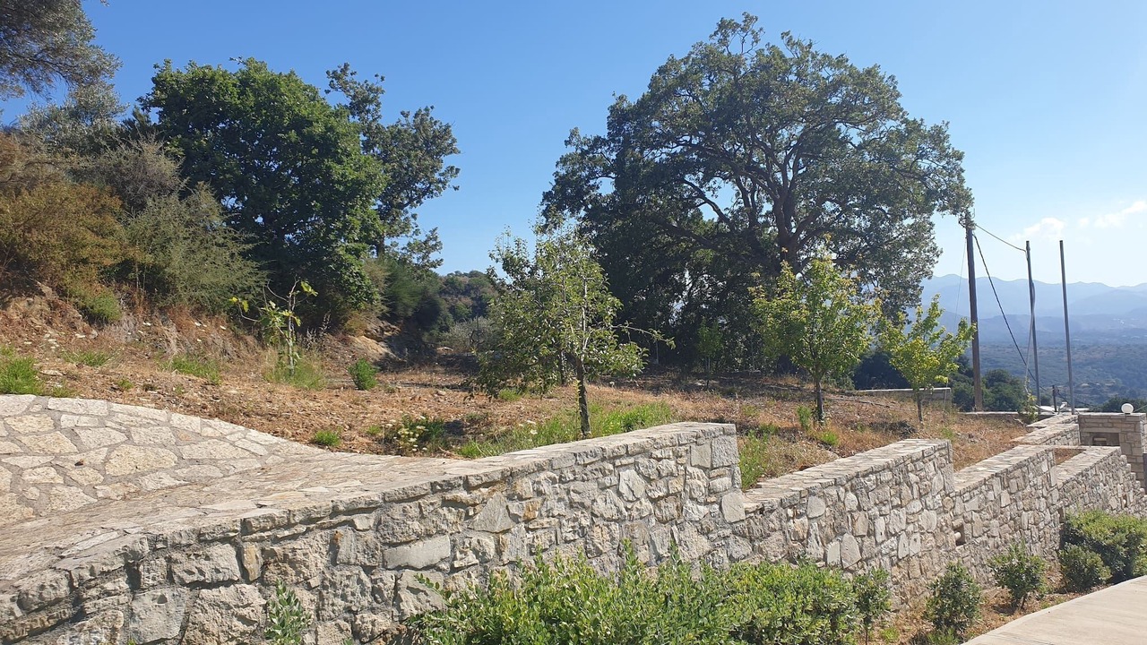 Photo of Others in Monopari