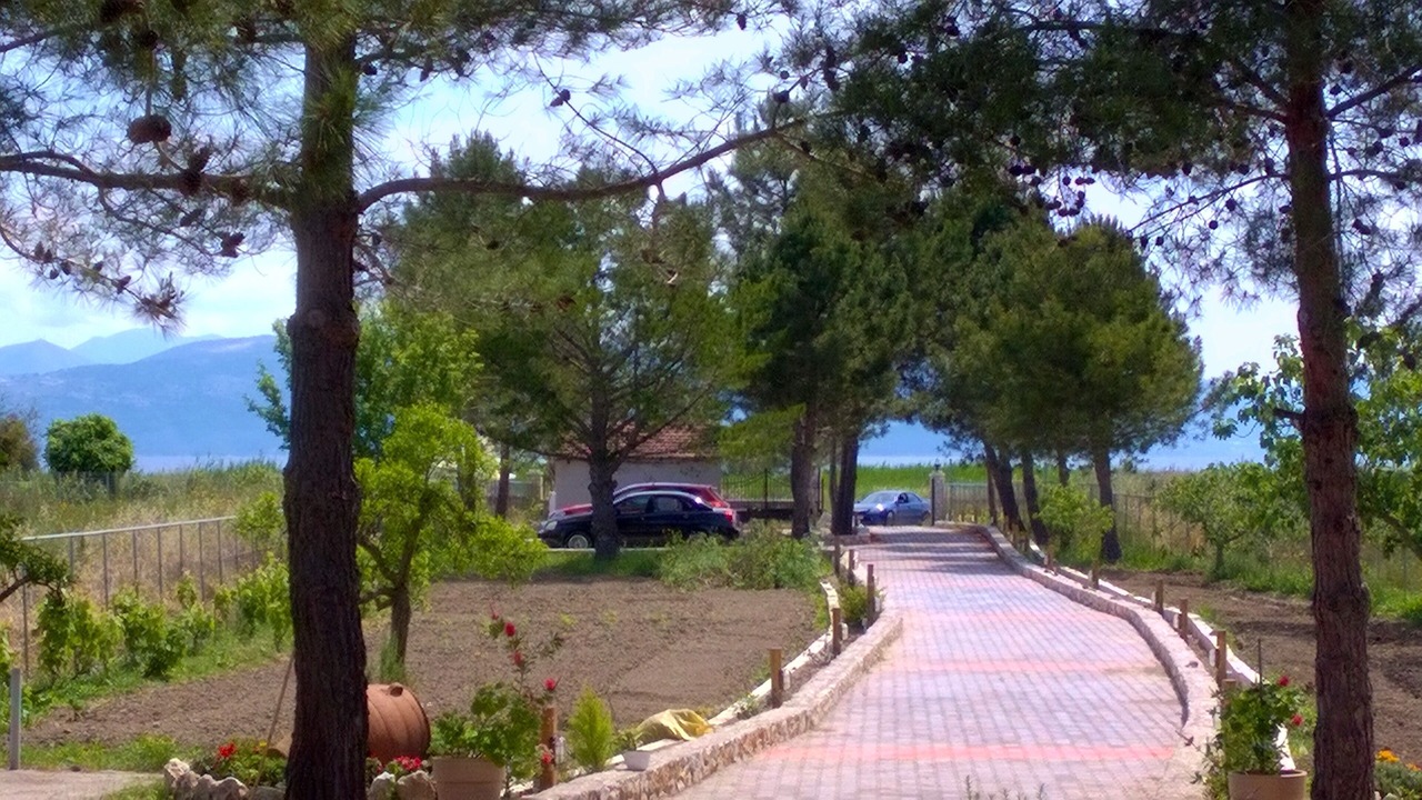 Photo of Outdoor in Melikia