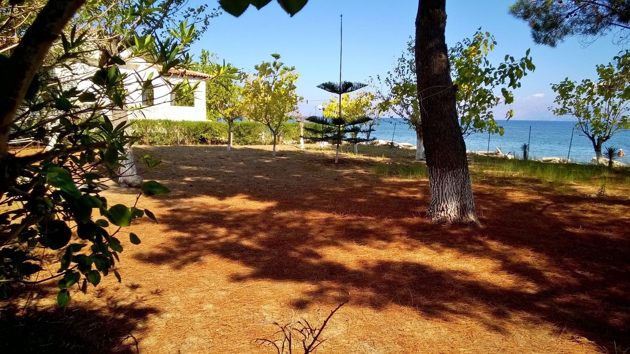 Photo of Outdoor in Melikia