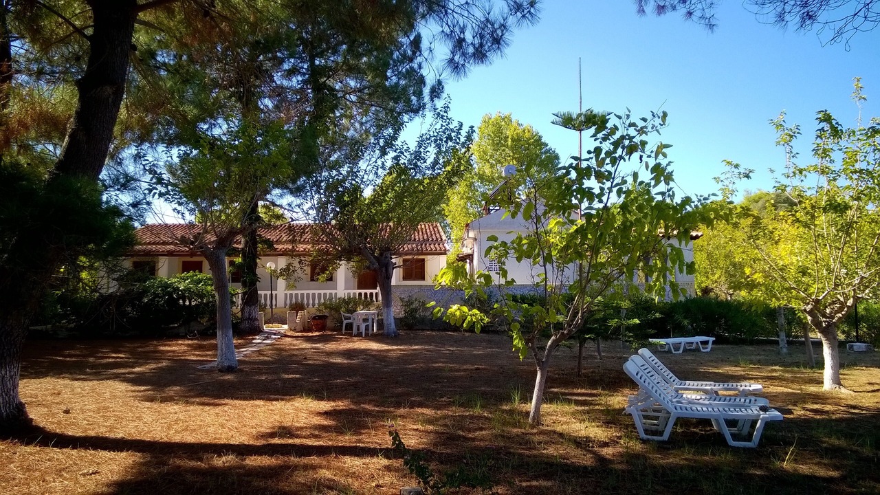 Photo of Outdoor in Melikia