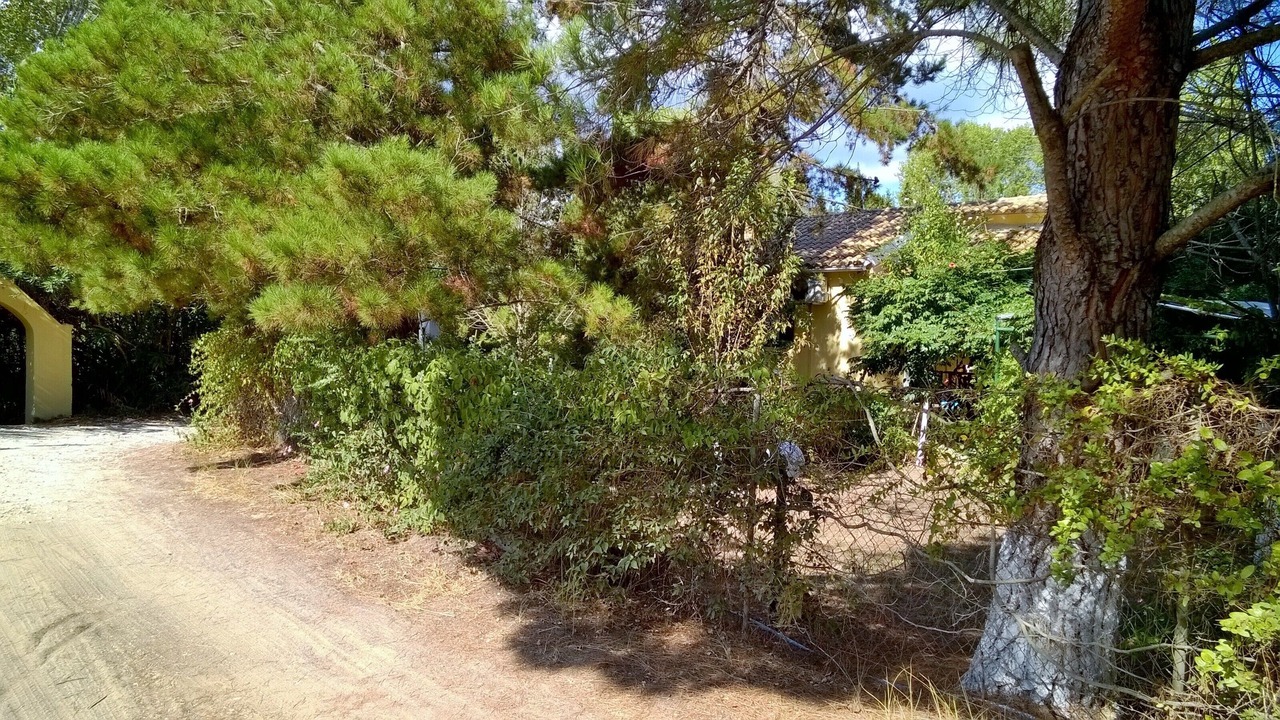 Photo of Outdoor in Melikia