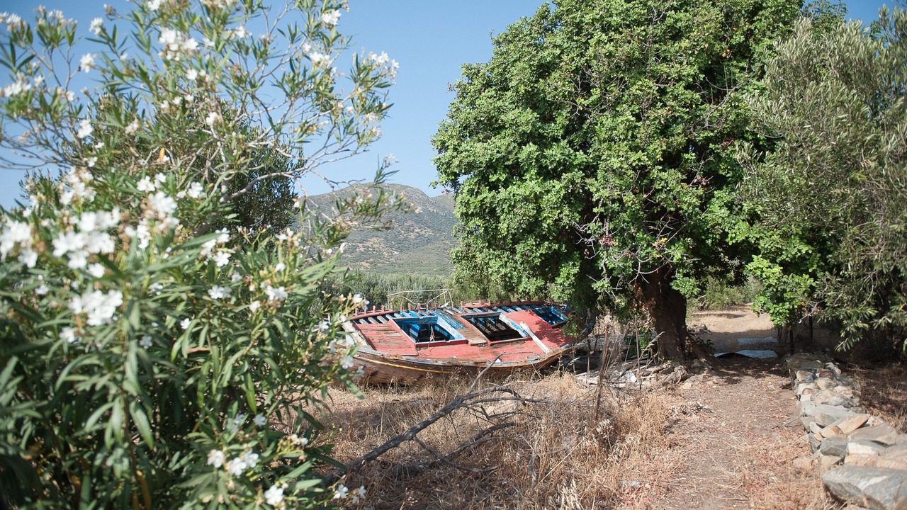 Photo of Outdoor in Livadia