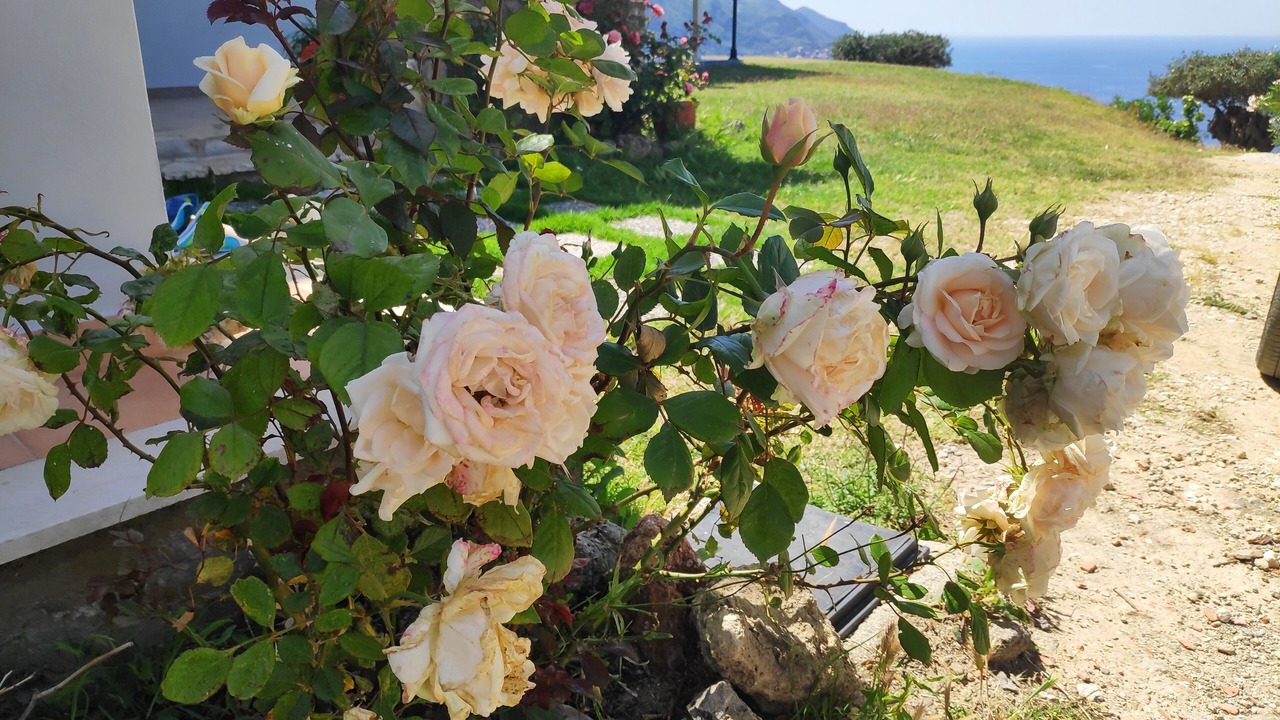 Photo of Outdoor in Sinarades