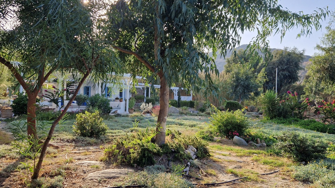 Photo of Outdoor in Ios
