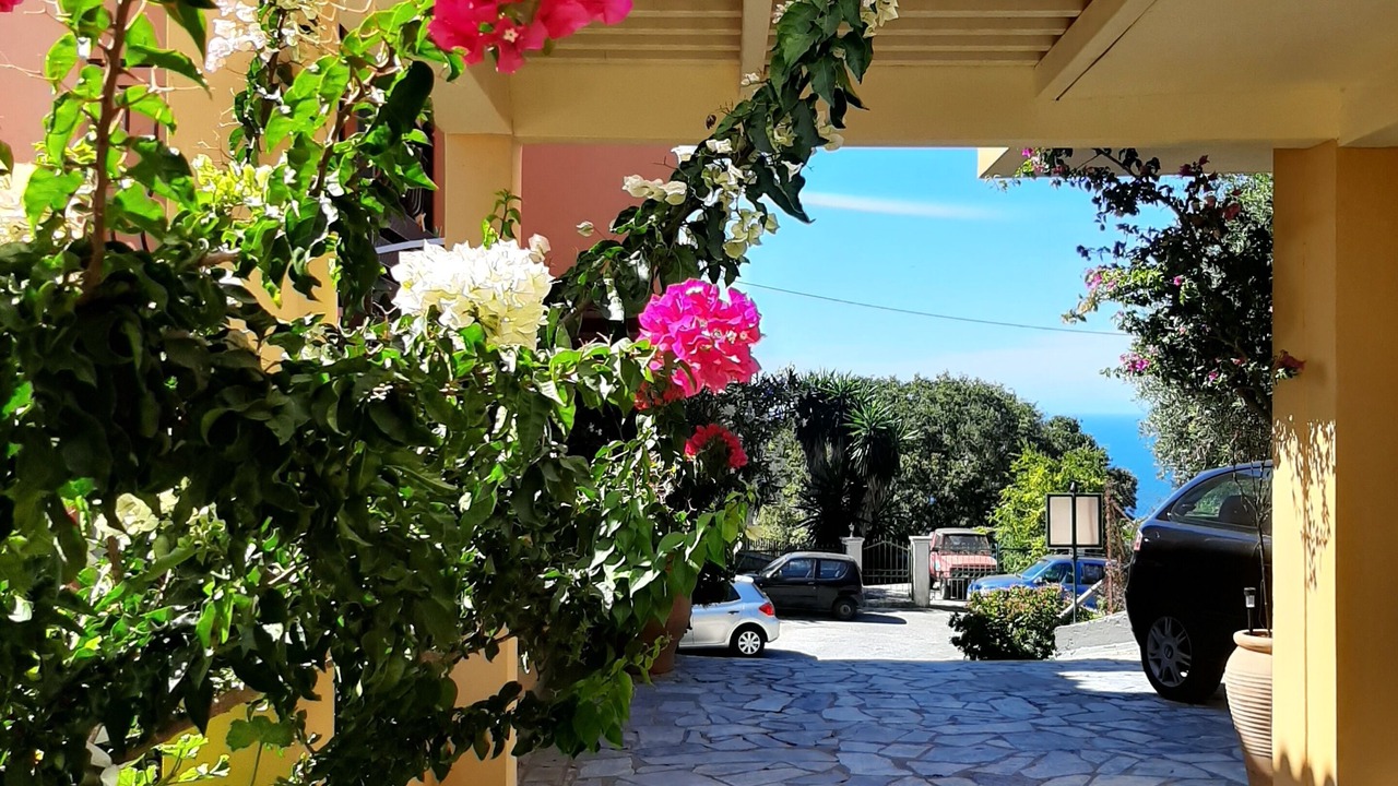 Photo of Outdoor in Pelekas