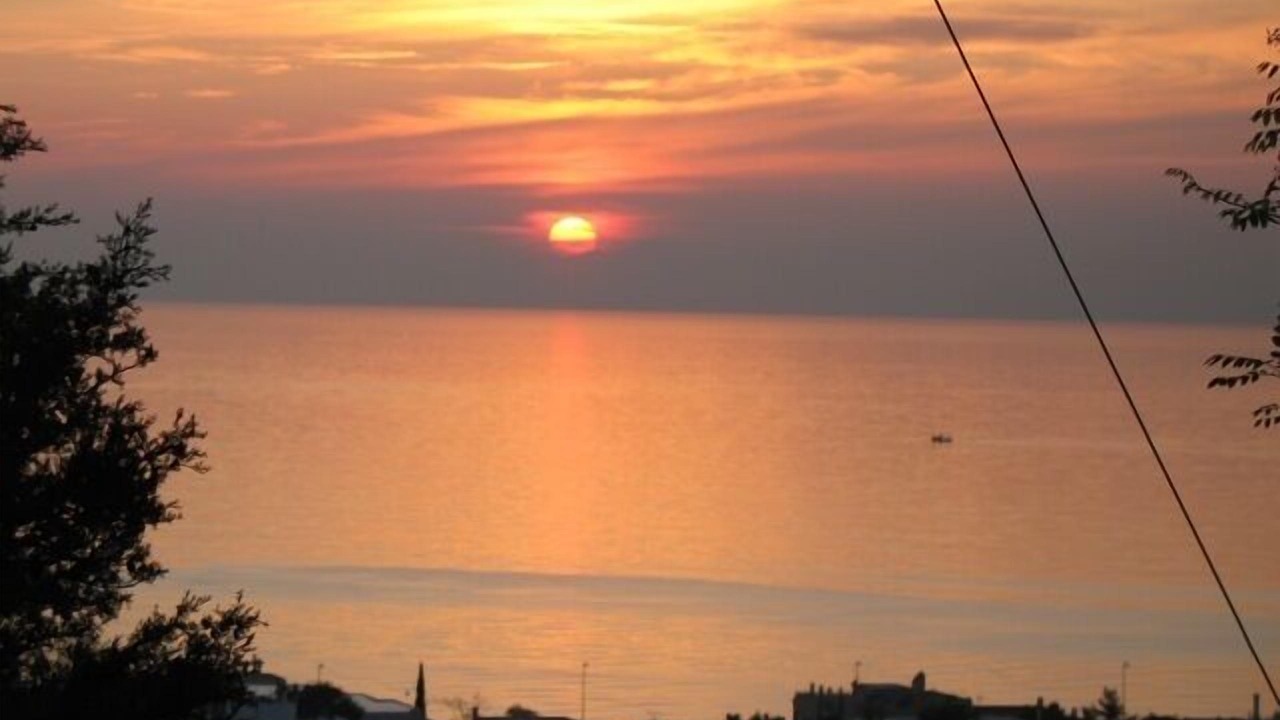 Photo of Others in Saronida