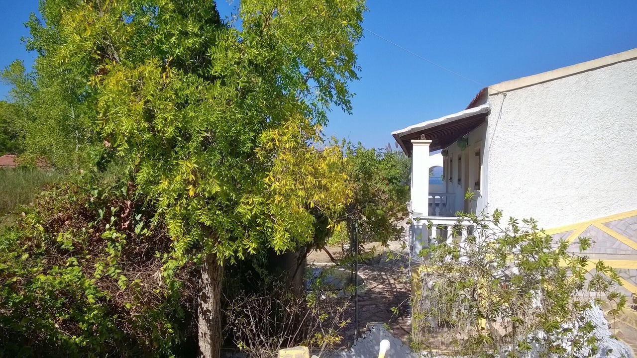 Photo of Outdoor in Melikia