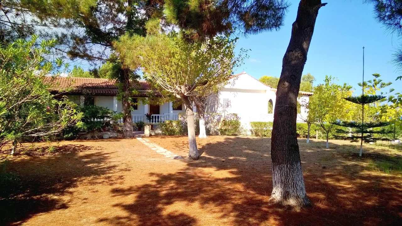 Photo of Outdoor in Melikia