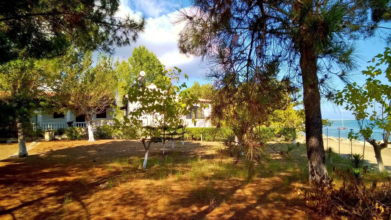 Photo of Outdoor in Melikia