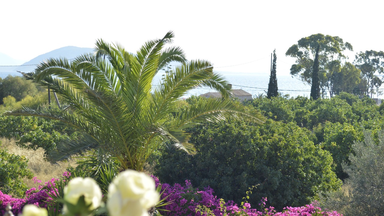 Photo of Outdoor in Aegina Town