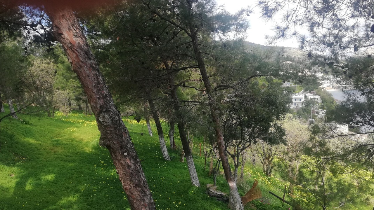 Photo of Outdoor in Leros