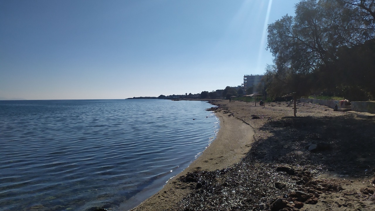Photo of Others in Nea Makri