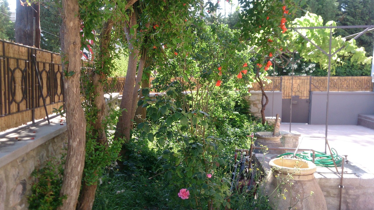 Photo of Outdoor in Mytilene