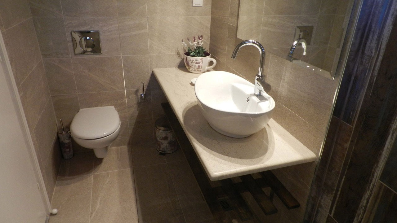 Photo of Bathroom in Ipsos
