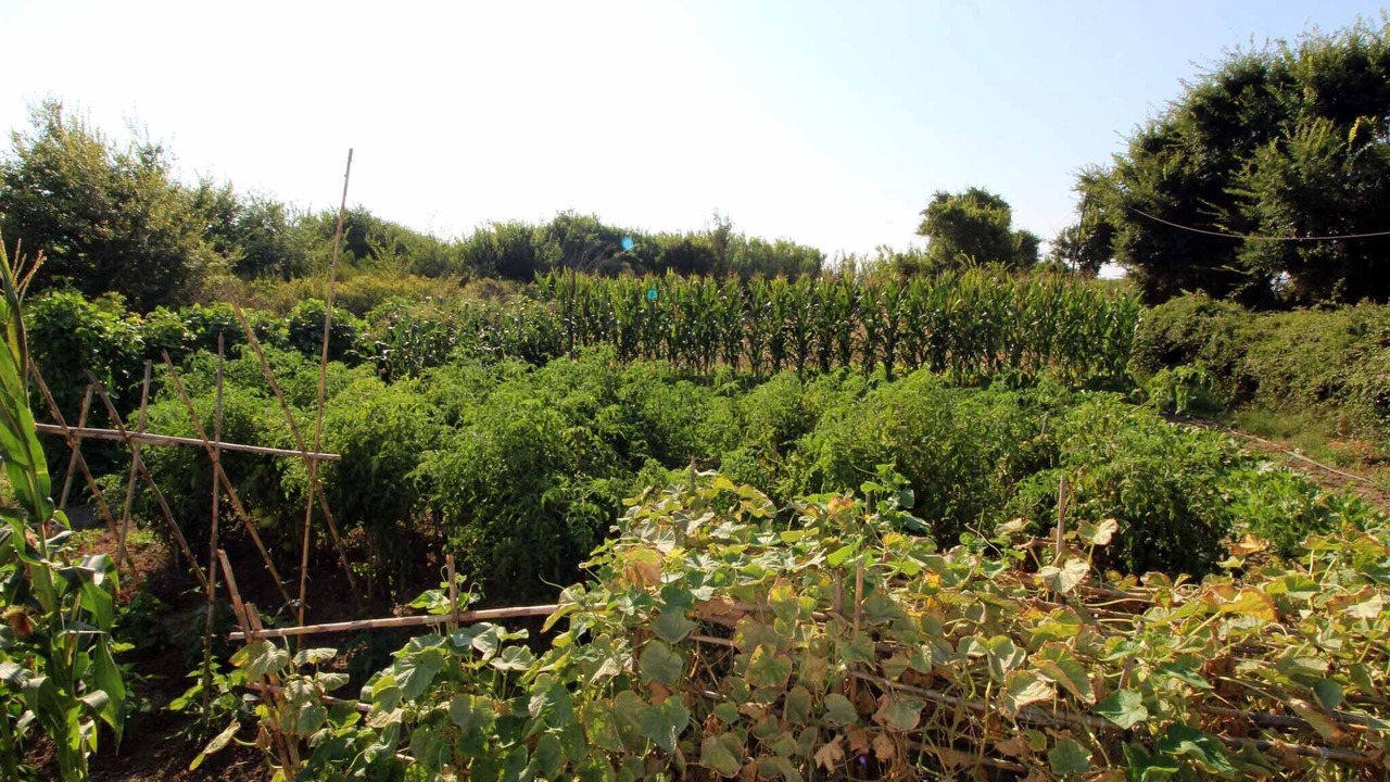 Photo of Outdoor in Roda