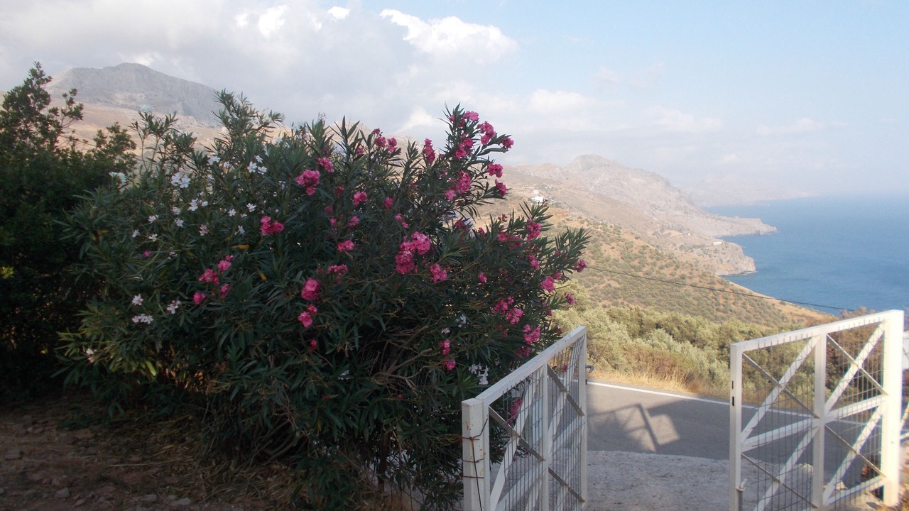 Photo of Outdoor in Agios Vasileios