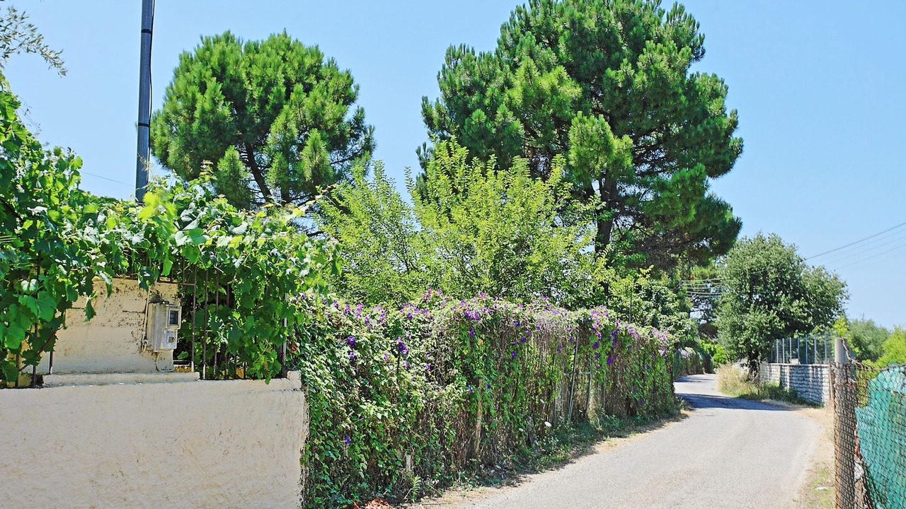 Photo of Others in Almiros Beach