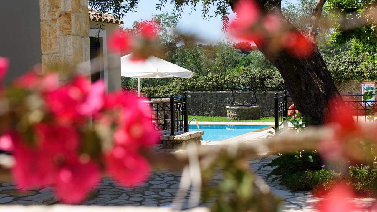 Photo of Outdoor in Dassia