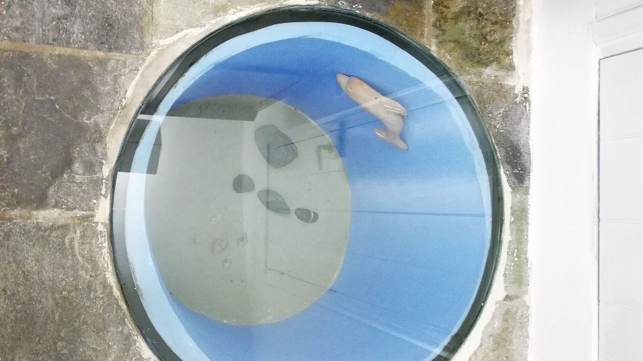 Photo of Others in Kithira