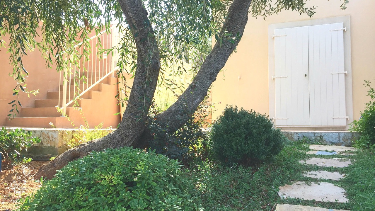 Photo of Outdoor in Katsimatika