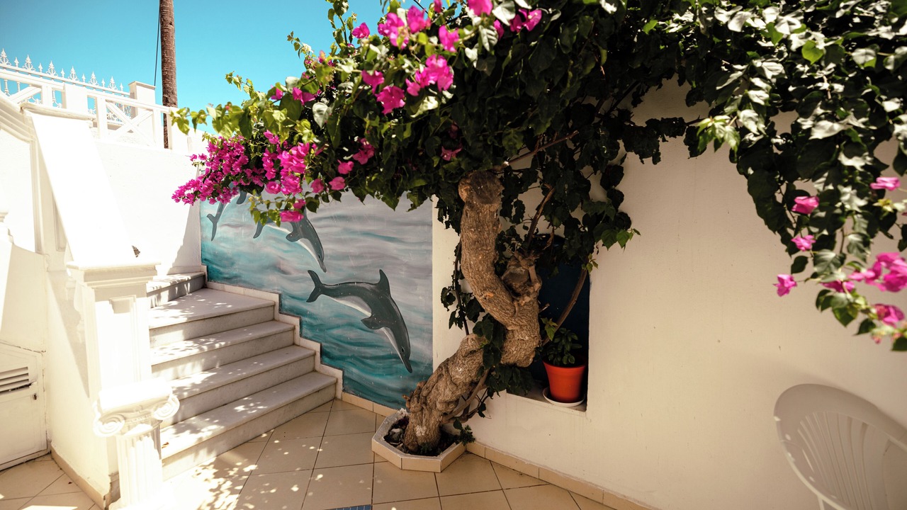 Photo of Outdoor in Fira