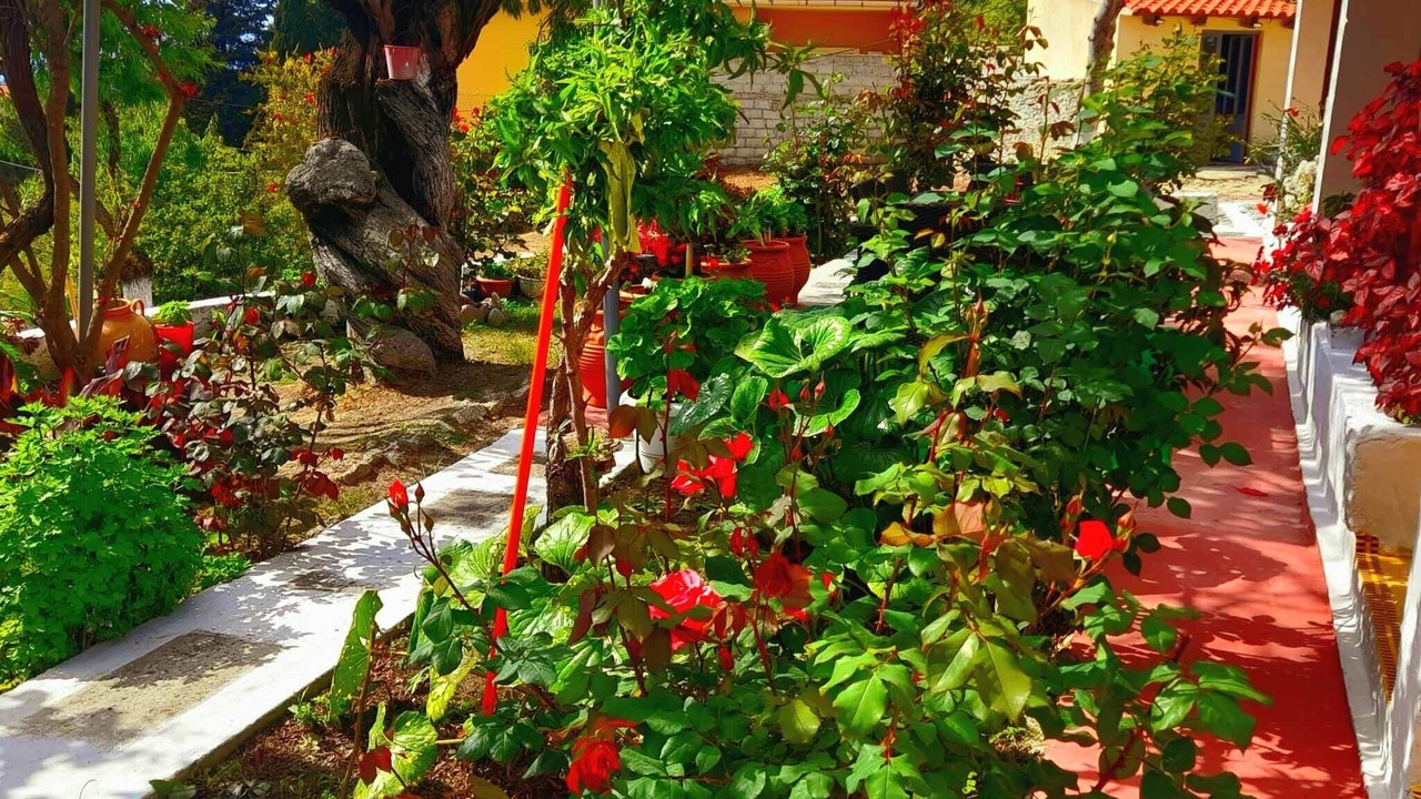Photo of Outdoor in Afionas