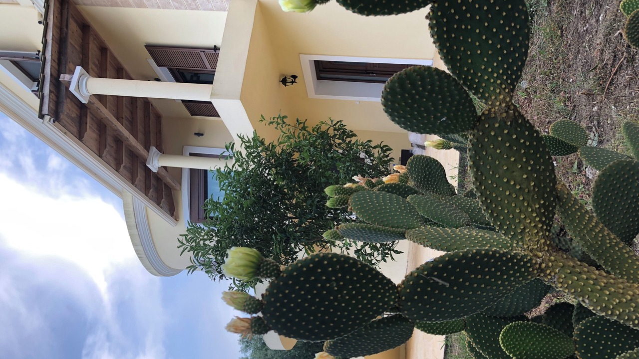 Photo of Outdoor in Liapades