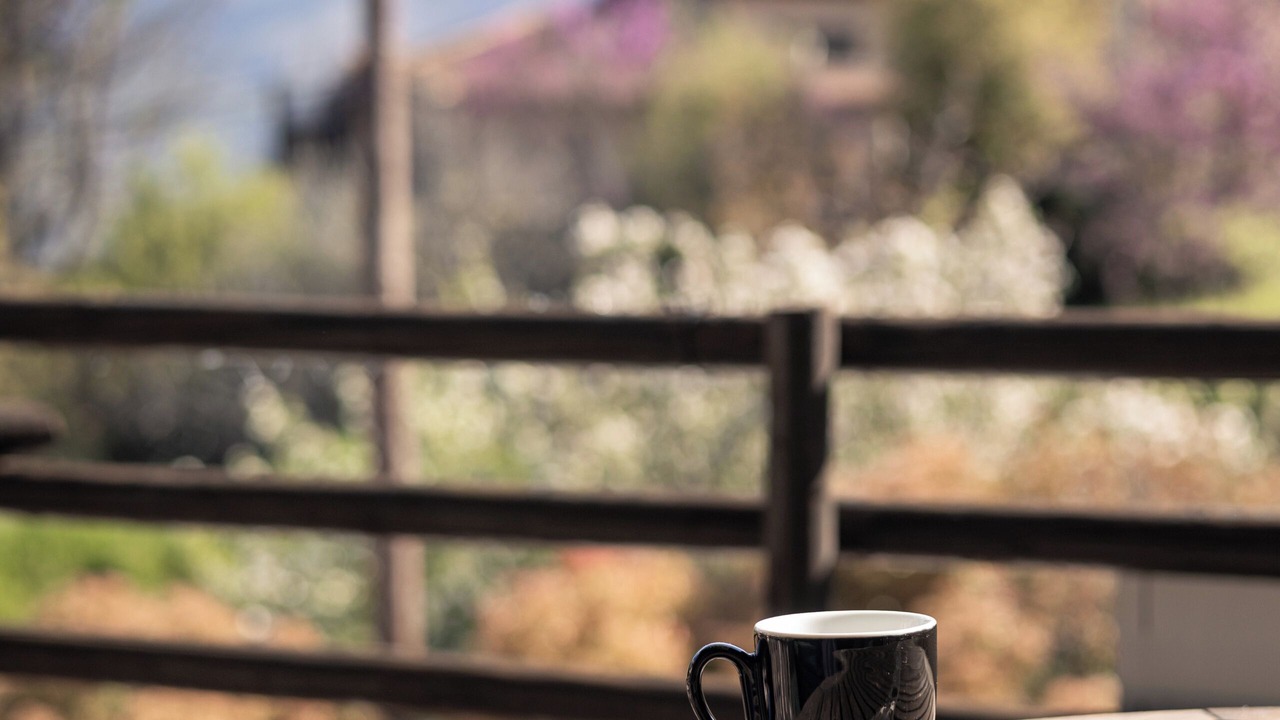 Photo of Patio Balcony in Mesaia Trikala