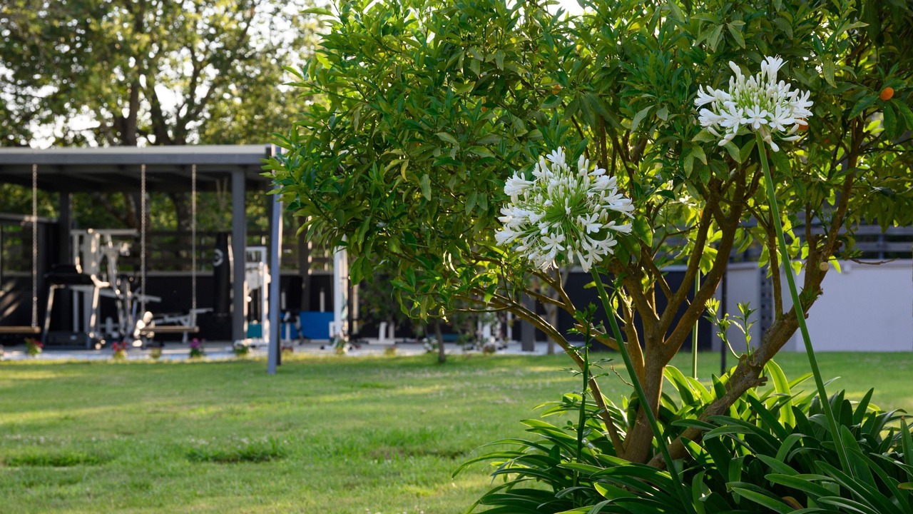 Photo of Outdoor in Dassia