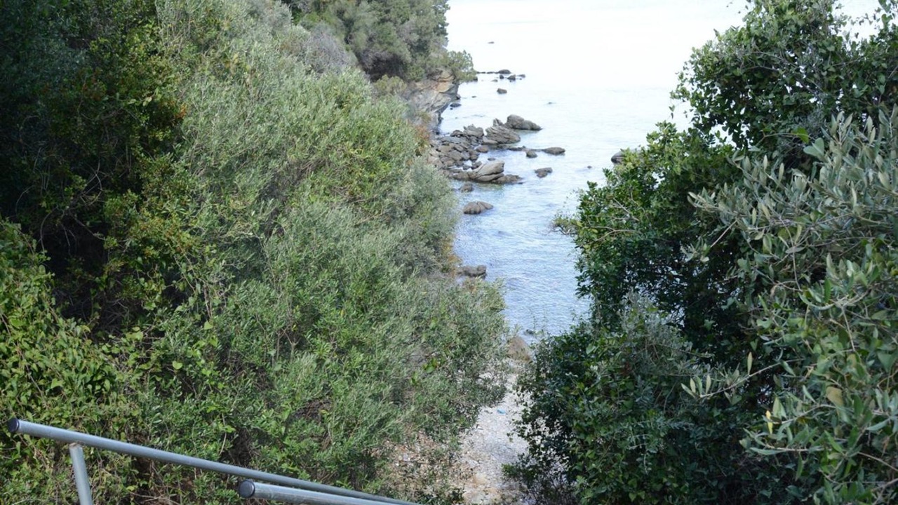 Photo of Others in Sourpi