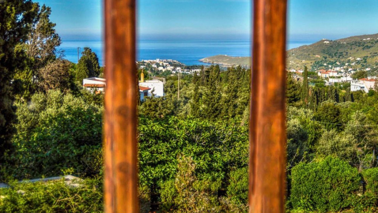 Photo of Patio Balcony in Andros