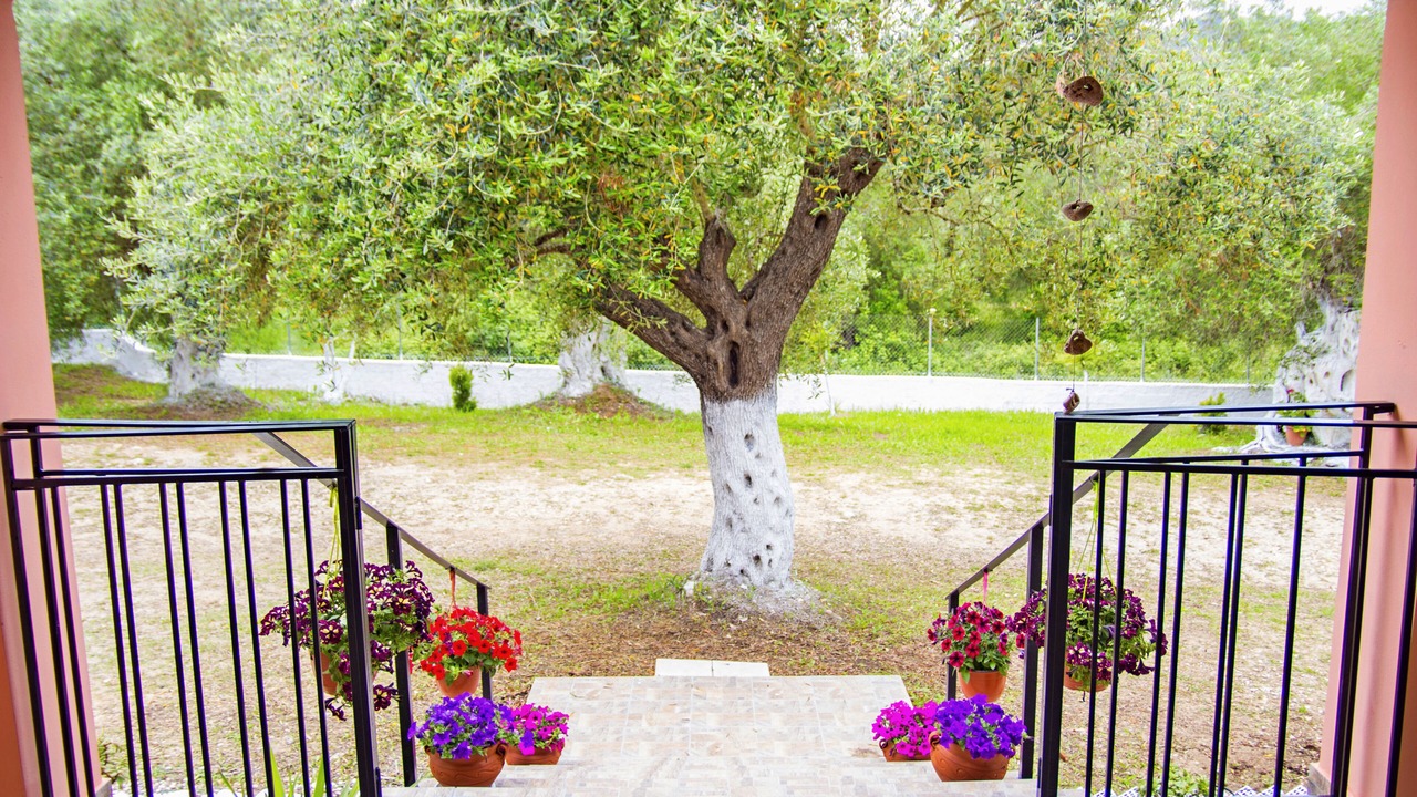 Photo of Outdoor in Dafnata