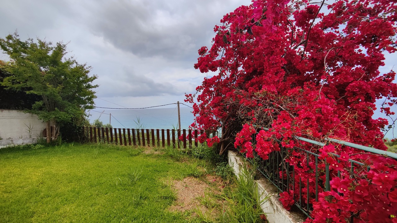 Photo of Outdoor in Parga